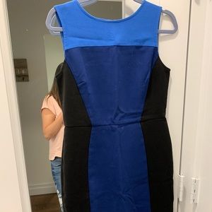 Loft color block sheath dress